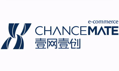 沈阳淘宝代运营公司综合实力解析与台州广告设计行业特色概览